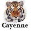 CAYENNE