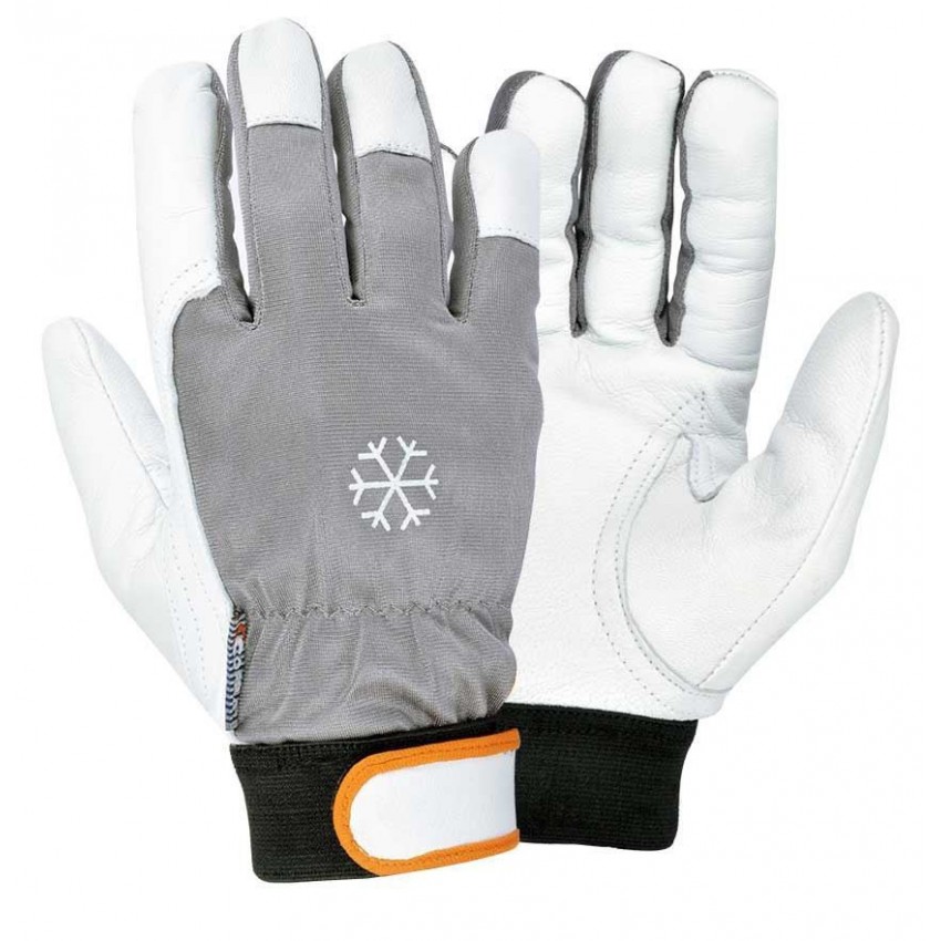 Γάντια Ψύχους Cofra Coldext