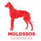 MOLOSSOS
