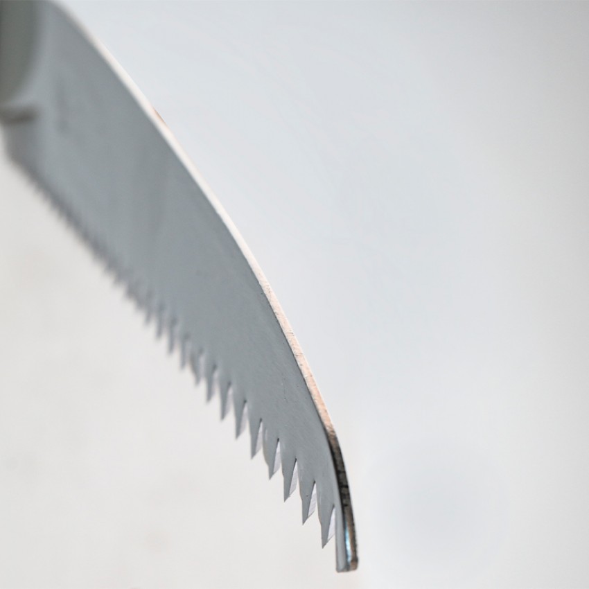 ΠΡΙΟΝΙ ΚΛΑΔΟΥ 250mm-8TPI 1.0mm